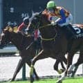 【JRA・WIN5】本日のWIN5は的中10票、配当5347万4770円
