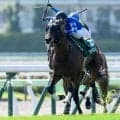 【函館記念結果】10番人気ファウストラーゼンが復活V！ 小林美駒騎手はJRA重賞初制覇！