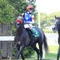【ラジオＮＩＫＫＥＩ賞】２番人気の重賞初挑戦リッツパーティーは３着　横山武史騎手「敗因はいくつか…」