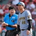 【阪神】勝ってかぶとの緒を締める　藤川監督、中盤まで接戦に「今季は近寄られるような展開多い」