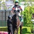 サマージョッキーズシリーズは北村友一騎手が暫定トップ　函館記念Ｖの小林美駒騎手は騎乗停止処分でポイント加算なし