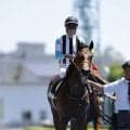 【新馬/函館5R】武豊、通算5000勝まであと4！シグレで断然人気に応える快勝