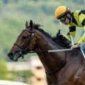 【ラジオNIKKEI賞】田辺「勝負できると思っていた」サノノグレーターがレコードで重賞初制覇