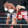 【ボクシング】日本Ｓフェザー級１位・木村蓮太朗が５回ＴＫＯ勝ち　６戦連続ＫＯ勝利＆８連勝　優勝賞金１０００万円「フェニックスバトル…トーナメント」準々決勝