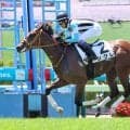 【函館５Ｒ・新馬戦】武豊騎手通算４９９６勝「乗っているだけでした」　シグレ圧巻デビュー　６馬身差逃げ切る　