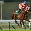 【盛岡・サファイア賞】セイクリスティーナが3馬身差完勝…山本聡哉「ベストパフォーマンスを見せてくれた」