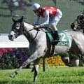サマースプリント第2戦・北九州記念 大井の帝王賞にも注目/今週の競馬界の見どころ