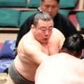 【名古屋場所新番付】朝天舞が下の名を又三から晴多に戻す／改名力士一覧