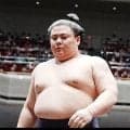 【名古屋場所新番付】義ノ富士が東小結に昇進、王鵬は西小結で三役定着へ／新三役、三役復帰編