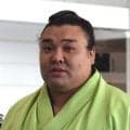 【名古屋場所新番付】霧島が２度目の綱とり挑戦、義ノ富士は小結昇進で新三役／番付一覧