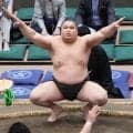 【名古屋場所新番付】旭富士は東幕下11枚目　序ノ口デビューからの連勝記録や最速新十両かかる