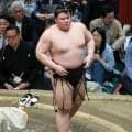 【見出し】義ノ富士が新三役となる新小結　熊本出身では１７年初場所の正代以来、戦後９人目…名古屋場所番付発表