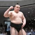 安青錦が西関脇に降下　関脇は熱海富士、琴勝峰、若隆景、安青錦の計４人　４関脇は２４年秋場所以来…名古屋場所番付発表