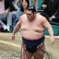 一意と大青山が新入幕　一意は右膝の大けがで序ノ口から再起を果たしての入幕　大青山は中国出身で２人目…名古屋場所番付発表