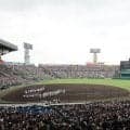 【高校野球】この夏は 3363 チームが地方大会に参加！昨年より 33 チーム減