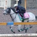 【北九州記念・山下の特注馬】連勝中の３歳馬の勢いに注目　デアヴェローチェが古馬に挑む