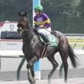【ジュライＳ・イシゴーの特注馬】２年ぶりの小回り１７００メートルでニシキギミッチーの一発魅力