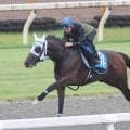 【北九州記念・水納の特注馬】力つけたアンクルクロスが楽しみ　鞍馬Ｓは自身も従来のレコード更新だった２着