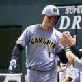 阪神・森下翔太が12球団最多71万票超え　日本ハムから最多6人…ファン投票最終中間発表