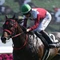 【北九州記念想定騎手】フリッカージャブは松山弘平騎手、ヤマニンアルリフラは団野大成騎手
