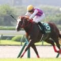 【北九州記念】０６年から小倉の芝１２００メートルでハンデ戦に　過去に制した５頭が夏の短距離王者に輝く
