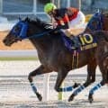 【帝王賞】地方馬が16年ぶりの戴冠なるか 東京大賞典覇者のディクテオンが大将格だ