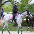 【北九州記念】葵Ｓ勝ち馬のデアヴェローチェが重賞連勝へ　上村調教師「斤量差と勢いで何とかいい競馬をしてほしいね」