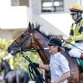 サノノグレーターの勝利には血統的な裏付け グレーターロンドン産駒は小回りに高い適性あり