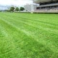 「洋芝」を知れば馬券予想に効果的！？　議論を呼ぶ謎の高速決着など函館競馬場の馬場担当課長に聞いてみた