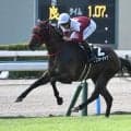 【北九州記念展望】勢いのあるフリッカージャブが重賞初制覇へ