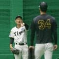 阪神・工藤コーチは早い、早すぎるマジで　その理由とは【コラム　若虎界隈】