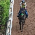 ジョバンニなど、先週の入厩情報/栗東トレセンニュース