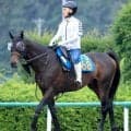 【ジュライＳ】ニシキギミッチーはゲート練習を積んでスタート改善　鈴木伸調教師「毎日やっている」