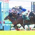 降着の申し立て棄却→藤原調教師が不服申し立て　函館記念を制したファウストラーゼンの進路取りについて