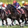 【北九州記念】2年連続2着の8歳ヨシノイースター レース史上最高齢Vなるか
