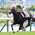 【注目馬動向】２８日の新馬戦で７馬身差の圧巻Ｖを決めたジーティーマイカは中京２歳Ｓへ