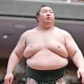 十両・白鷹山が名古屋場所を休場へ　稽古中にアキレス腱断裂…来場所は幕下陥落が確実