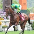 【注目馬動向】サトノレーヴはジ・エベレストの招待を受けず欧州で転戦を視野　豪メディアが報じる