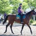 【今週のトク注新馬】いとこにはマイルＧ１・３勝のソングライン　鹿戸厩舎の大物候補が５日福島でデビューへ