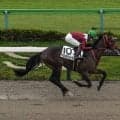 【北九州記念予想オッズ】フリッカージャブが予想1番人気