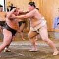 横綱大の里が復活へ汗、Ｗ杯ブラジルに「執念。勉強になります」日本には「生きている間に優勝を見てみたい」【大相撲】