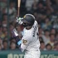 阪神　森下翔太の死球に甲子園からブーイングと悲鳴　７０試合目でリーグトップ１０個目のデッドボール