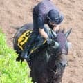 【北九州記念】ハンデ５１キロ！格上挑戦のアメリカンビキニは長欠明けでも怖い　斉藤崇調教師「やれてもいいと思います」