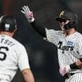 【阪神】浜田太貴が８回に同点打　移籍後初適時打マーク