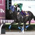 ゼーロスが優駿スプリントを４馬身差の圧勝　南関東３歳短距離王に「この時計なら、交流に出てもいいレベル」