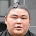 元サッカー少年の伯乃富士、Ｗ杯でブラジルに惜敗の日本代表の戦いに「感動した。さすがにブラジルは強かった」