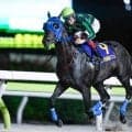 【大井・優駿スプリント結果】ゼーロスが4馬身差圧勝で重賞2勝目を挙げる