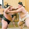 大の里　サッカー王国ブラジルに学ぶ「執念を感じた。王者の戦い」