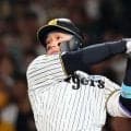 阪神・森下翔太は甲子園に価値を置く　他球場とは「意味合いが違う」