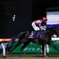 帝王賞を前に振り返る上半期ダート戦線 二冠馬誕生から地方馬の活躍まで